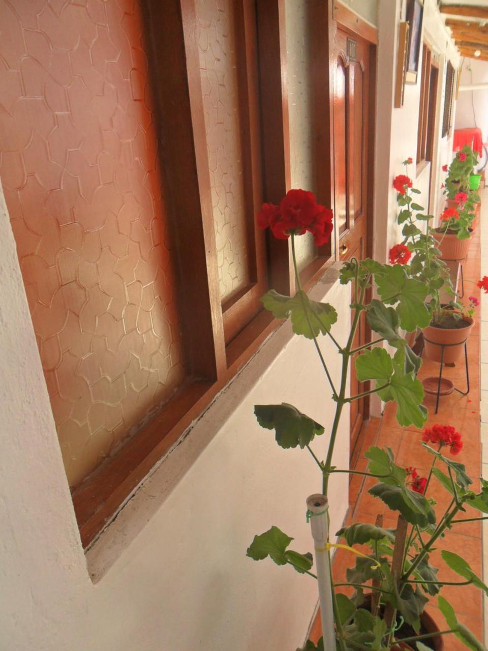 ホテルCasa 7 クスコ エクステリア 写真